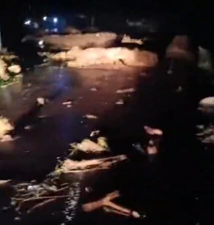 Kementerian PU Terlibat dalam Penanganan Dampak Banjir Bandang di Pemalang, Jawa Tengah
