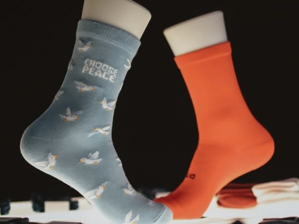 Every Step at ASHTA Brings Art, Play, and Culture