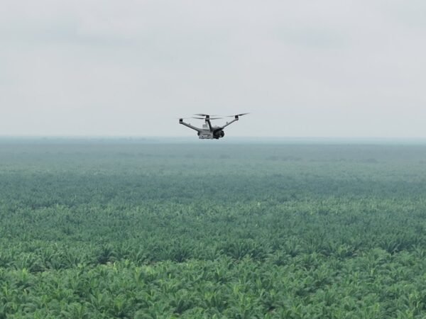 Teknologi Drone Thermal untuk Mencegah Kebakaran di Perkebunan Luas