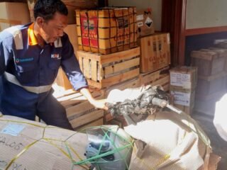 Dukung Mobilitas di Kampung Halaman, Pengiriman Sepeda Motor Meningkat Jelang Mudik