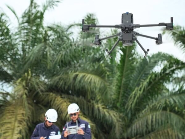 Manajemen Vegetasi dan Analisis Koridor Transmisi dengan Software LiDAR Terrasolid