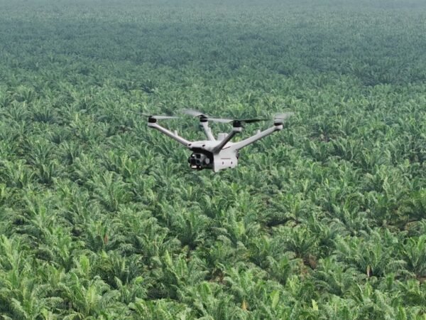 Pemantauan Keamanan Hutan dan Deteksi Kebakaran Lahan dengan DJI Dock 3