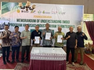 Holding Perkebunan Nusantara Akselerasi Ketahanan Pangan, PTPN I Bangun Ekosistem Terintegrasi di Bone