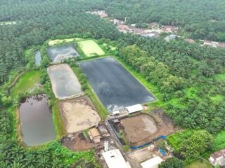 Hadapi Gejolak Energi Global, Holding Perkebunan Nusantara Andalkan PLTBg PalmCo