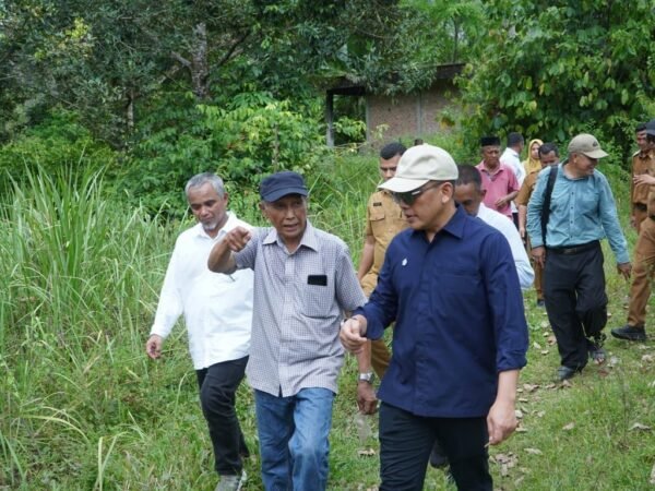 Didorong Kementan, Holding Perkebunan Nusantara Percepat Hilirisasi Gambir Nasional