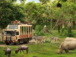 Taman Safari Indonesia Siap Dukung Transformasi Kebun Binatang Bandung sebagai Lembaga Konservasi Modern